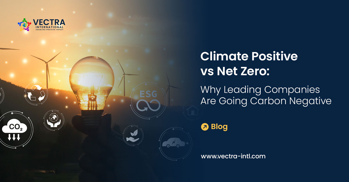 Climate Positive vs Net Zero: Why Leading Companies Are Going Carbon Negative