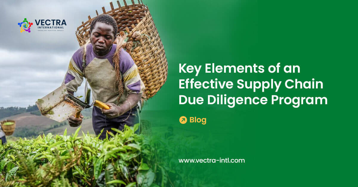 Key Elements of an Effective Supply Chain Due Diligence Program