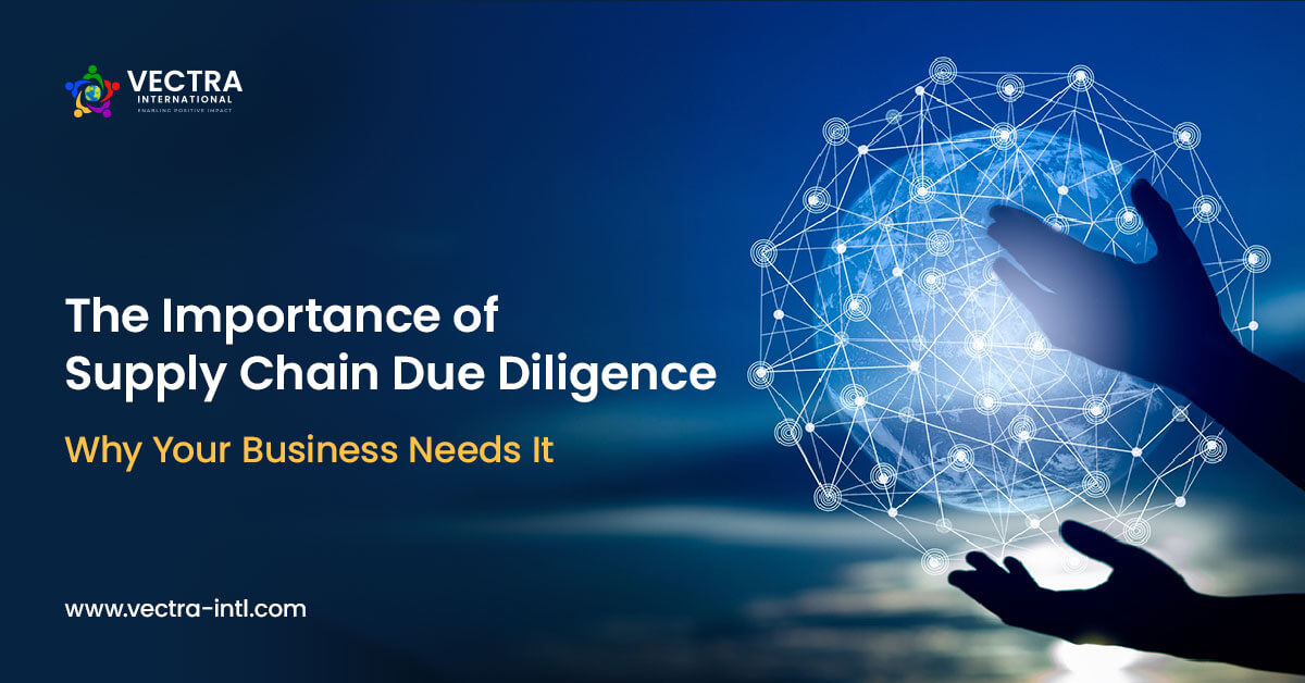 The Importance of Supply Chain Due Diligence: Why Your Business Needs It