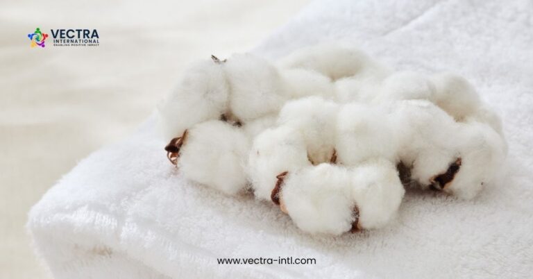 Discover how Better Cotton traceability transformed a global brand’s credibility and market access. See how trust begins in the field.