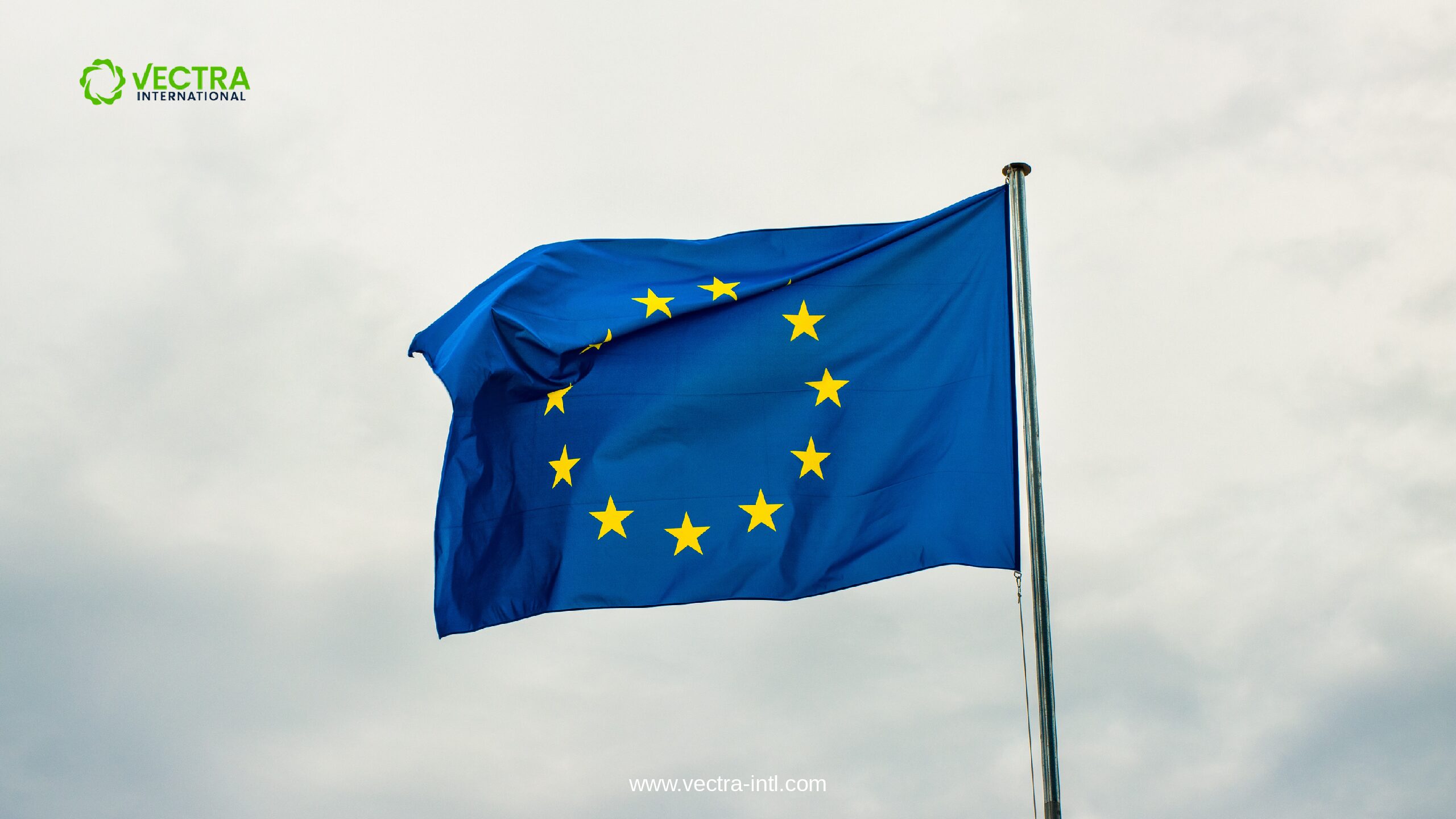 Forced Labor Single Portal: Navigating the EU’s New Enforcement Database