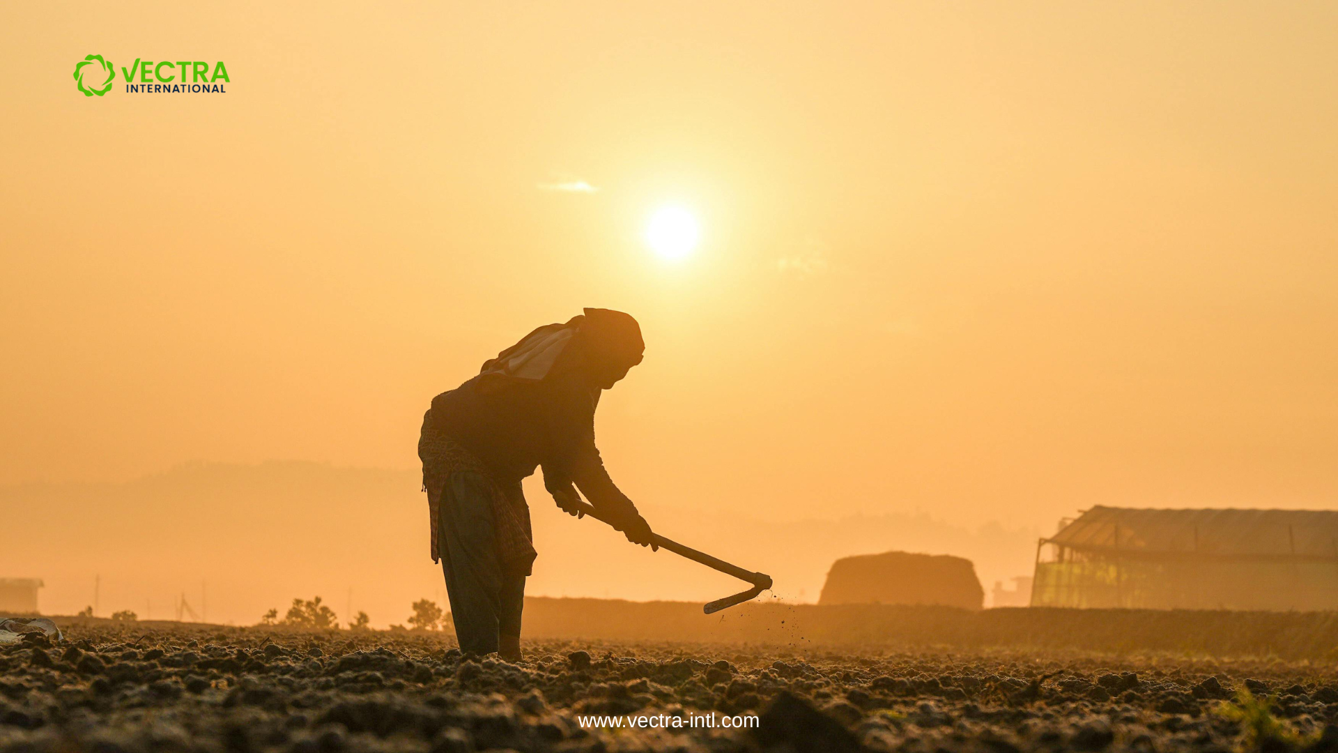 Labor Shortages & Ethical Risks: The Automation Trade-Off