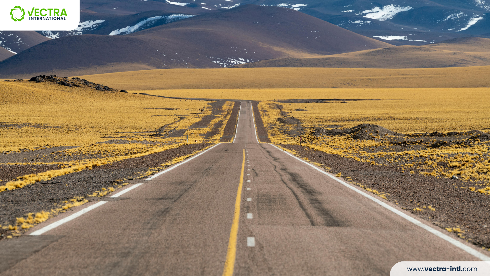 The 2040 Target: Why Your 2030 Sustainability Roadmap Just Became Obsolete